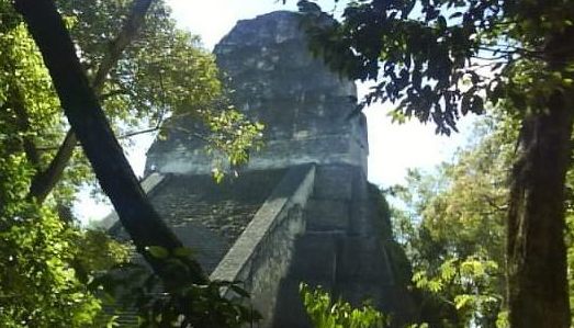 013 Tikal Ruins In Jungle 25th Feb 2011.jpg